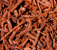 Manjishta (Rubia Cordifolia Root Extract)
